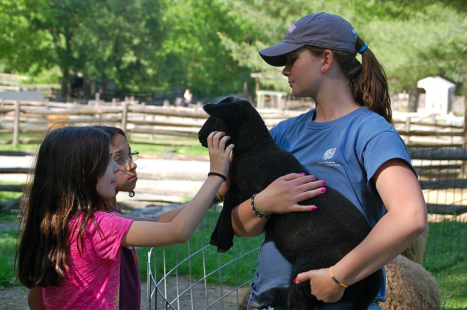 Kinderboerderij ’t Schaapsherdertje