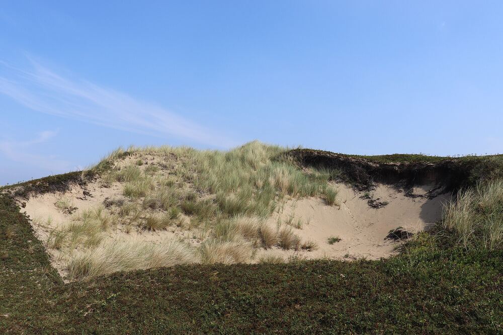 Met helmgras begroeide duin onder een blauwe lucht in het duingebied bij Noordwijk