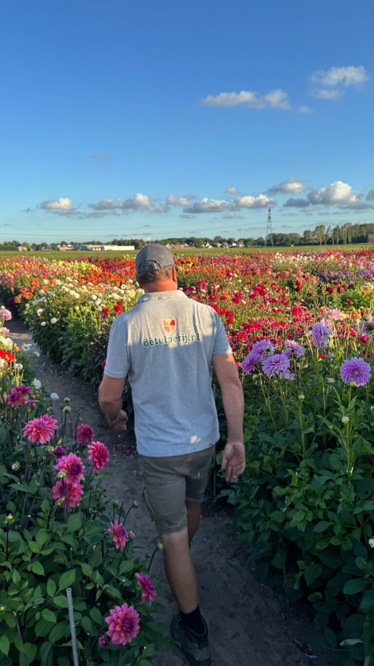 Bloemen excursie – De Tulperij — natuur in Noordwijk