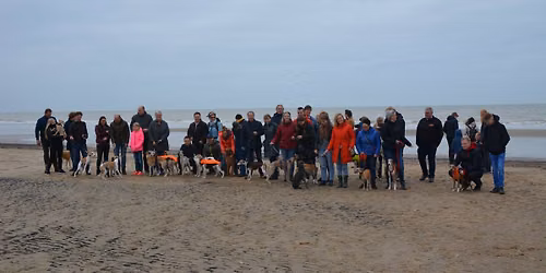 Nieuwjaarswandeling 2027 Langervelderslag te Noordwijk in Noordwijk